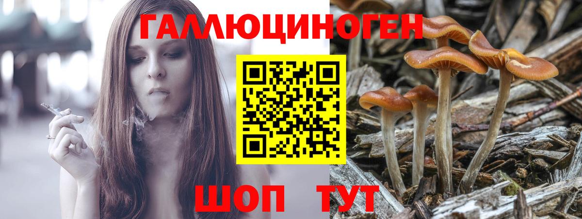 Псилоцибиновые грибы Cubensis  Вход с VPN  Туймазы 